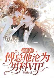 顾如笙傅晏初小说叫什么（离职后，傅总沦为男科vip免费阅读）
