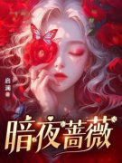 暗夜蔷薇林无忧白思蕊by启澜全文免费阅读