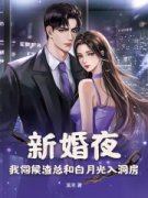 《新婚夜，我伺候渣总和白月光入洞房》完结版精彩试读 《新婚夜，我伺候渣