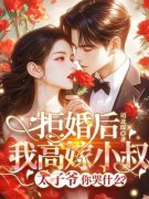 《苏婉禾司怀礼》小说章节目录在线试读 拒婚后我高嫁小叔，太子爷你哭什么