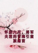 怀胎六月，将军夫君的青梅引蛮族屠宫完整版小说在线阅读地址 主角陆枭慕心