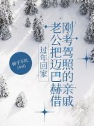 《王静关杨》过年回家，老公把迈巴赫借刚考驾照的亲戚小说精彩内容在线阅读