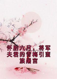 怀胎六月，将军夫君的青梅引蛮族屠宫