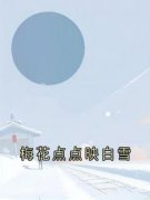 《沈无漾周若雪》梅花点点映白雪精彩内容在线阅读