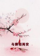 与卿相两安小说 夜澜雨沈卿尘(与卿相两安)小说阅读