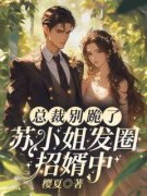 《苏沫决定离婚那天，发生了两件事》小说全文在线试读 《苏沫决定离婚那天