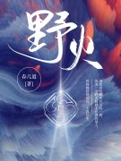 他比野火炙热全章节免费在线阅读，项宁成又野完结版