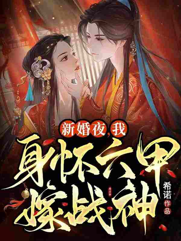 新婚夜，我身怀六甲嫁战神小说完整版全文免费阅读