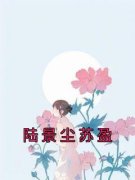 《陆景尘苏盈》苏盈陆景尘完结版精彩试读