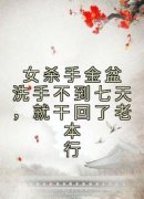 《女杀手金盆洗手不到七天，就干回了老本行》大结局精彩试读 《女杀手金盆