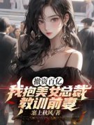 《撤资百亿，我抱美女总裁教训前妻》小说完结版精彩阅读 叶凌云苏清雪小说