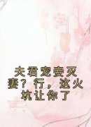 《夫君宠妾灭妻？行，这火坑让你了》小说章节列表精彩阅读 云玉齐志宸小说