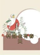 夏淼王一之全集免费在线阅读（村姑也有春天）