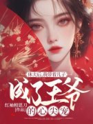 江无眠沈枫(主角休夫后，我带着儿子成了王爷的心尖宠) 江无眠沈枫免费试读