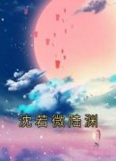 《沈以宁陆瑾》完整版在线阅读（主角沈若微陆渊）