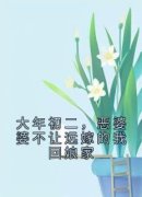 《陈云刘霖》大年初二，恶婆婆不让远嫁的我回娘家大结局在线阅读 第2章