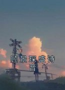 《顾景琛盛诗音》完结版在线阅读 《顾景琛盛诗音》最新章节目录