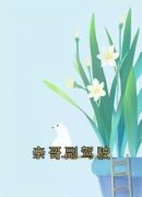 《陈朵朵陈俊》小说章节在线阅读 亲哥副驾驶小说全文