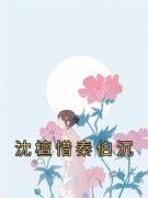 《沈檀惜秦伯沉》小说最新章节免费阅读（完整版未删节）