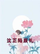 《沈芷陆辰礼》完结版免费阅读 《沈芷陆辰礼》最新章节目录