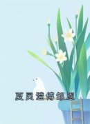 《夏灵澄傅邹恩》小说在线试读 《夏灵澄傅邹恩》最新章节目录