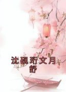 《沈砚珩文月舒》小说章节列表在线阅读 文月舒沈砚珩小说阅读