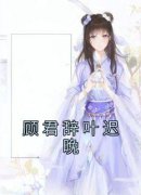 《叶迟晚顾君辞》小说全文精彩阅读 顾君辞叶迟晚小说全文