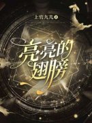 《诸亮胡晓霞》小说大结局在线阅读 亮亮的翅膀小说阅读