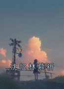 沈忆林慕祈全文免费阅读(沈忆林慕祈) 完结版