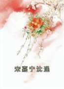 《宋嘉宁沈遇》小说章节目录精彩试读 宋嘉宁沈遇小说全文