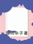 《沈冉木子易》沈冉木子易大结局精彩试读