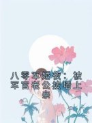 《叶沐栖容景辰》小说大结局在线阅读 随军大院第一晚，最强军官破戒了小说