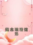 《魏念琬褚煊洛》小说完结版在线试读 褚煊洛魏念琬全文第22章