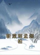 《靳棠昭孟颂柏》完整版在线阅读（主角靳棠昭孟颂柏）