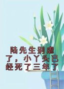 江小渔陆景庭陆先生别虐了，小丫头已经死了三年了 by佚名完整在线阅读