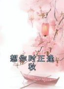 《沈知枝褚逢秋》全文在线试读 想你时正逢秋在线第25章