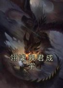 《翎浅双君成宇》小说全文精彩章节在线阅读（翎浅双君成宇）