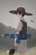 《严绾君宋序城》小说章节列表在线试读 严绾君宋序城小说阅读