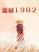 《重启1982》小说章节在线阅读 段云段芳小说阅读