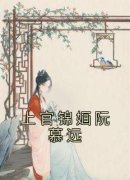 《上官锦婳阮慕远》小说章节免费试读 上官锦婳阮慕远小说全文