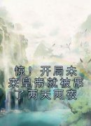 《惊！开局未来皇帝就被吊了两天两夜》小说章节目录免费阅读 盛珠于逢生小