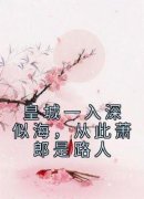 《白以凝陆尘霁》小说全文精彩章节在线阅读（皇城一入深似海，从此萧郎是路