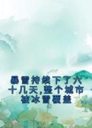 《暴雪持续下了六十几天,整个城市被冰雪覆盖》小说全文精彩阅读 程楠徐倩倩