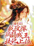 《沈若惜慕容珩》重生后，我改嫁病弱残王扶他上位章节列表精彩阅读