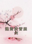 《魏清妩晋辰州》小说章节目录免费试读 魏清妩晋辰州小说全文