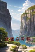 《沈既白叶佳》完结版精彩阅读 第四章