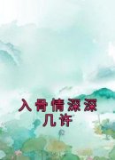 【都市爽文】苏怀洛沈霖琛入骨情深深几许未删减版全集免费试读