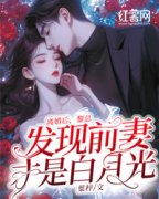 《叶诺黎隽》离婚后，黎总发现前妻才是白月光章节免费阅读