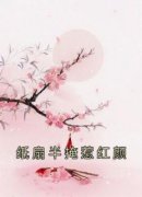 《纸扇半掩惹红颜》江卿婉叶廷深大结局在线阅读