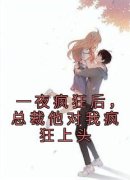 《一夜疯狂后，总裁他对我疯狂上头》白理顾锐彦章节目录免费阅读